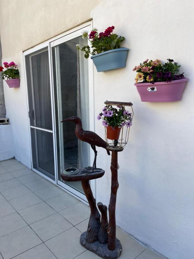 הוילה Olivier House מליאהה מראה חיצוני תמונה